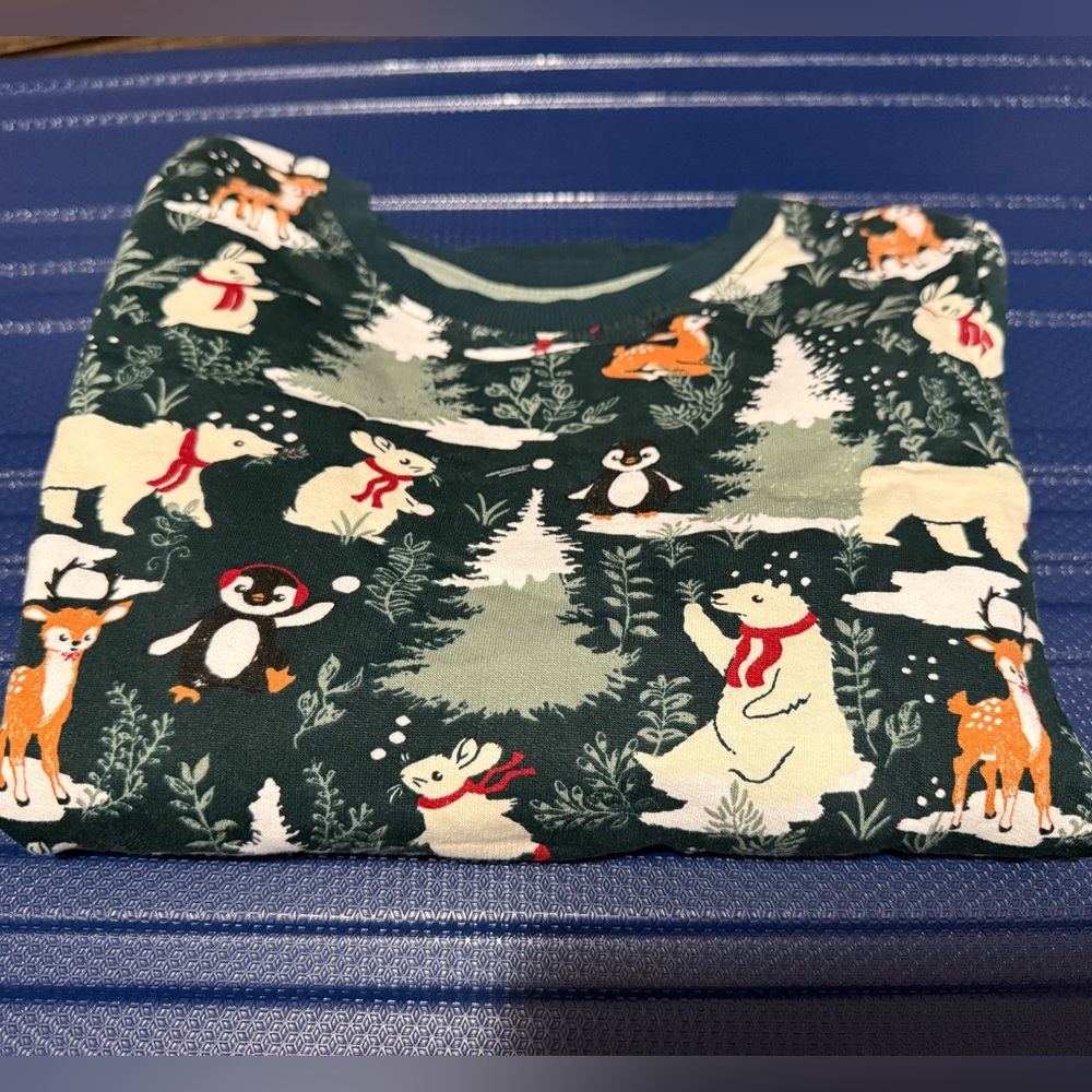 EUC - H&M Kids Top - Green with Animal Print